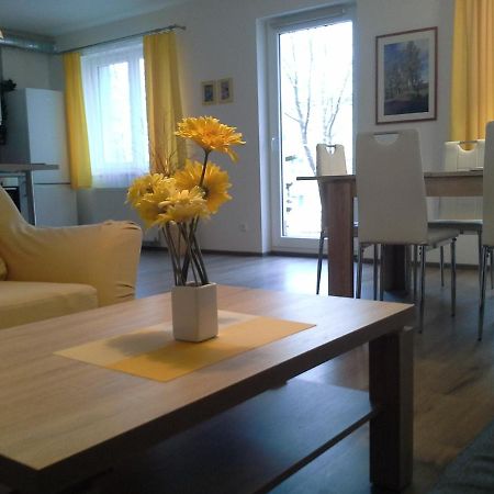 Rodinny Apartman Lucie V Blizkosti Wellness Hotelu Ve Frymburku Buitenkant foto