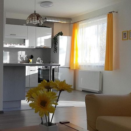 Rodinny Apartman Lucie V Blizkosti Wellness Hotelu Ve Frymburku Buitenkant foto