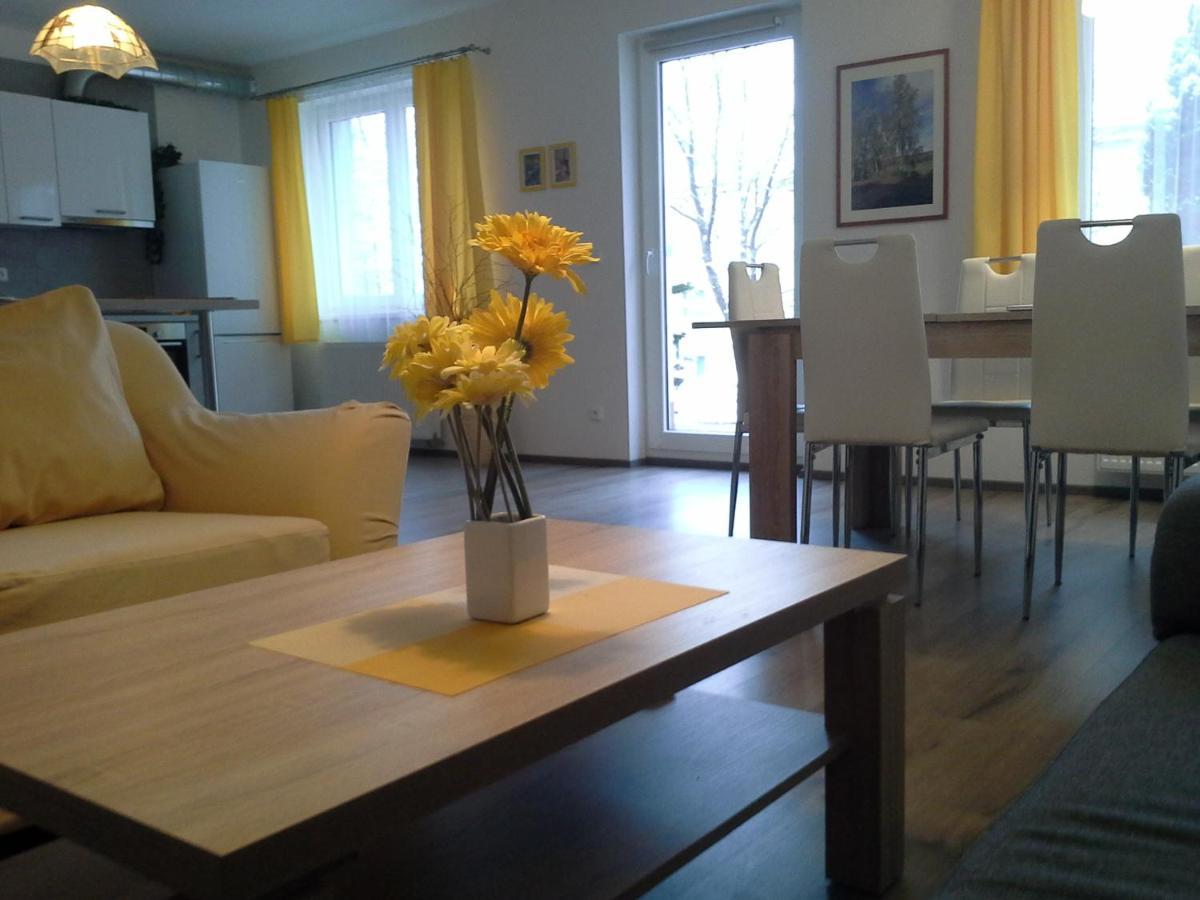 Rodinny Apartman Lucie V Blizkosti Wellness Hotelu Ve Frymburku Buitenkant foto