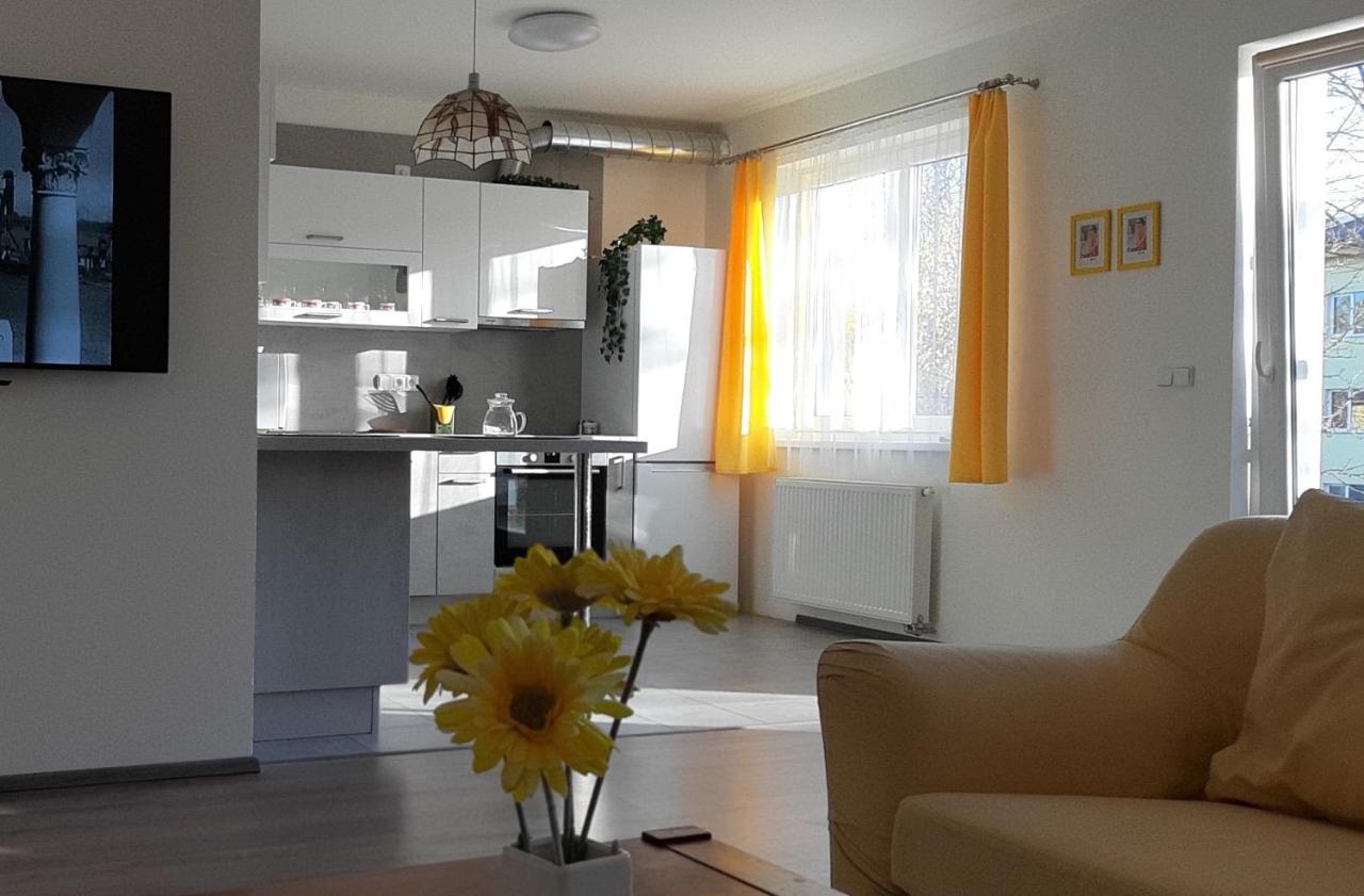 Rodinny Apartman Lucie V Blizkosti Wellness Hotelu Ve Frymburku Buitenkant foto