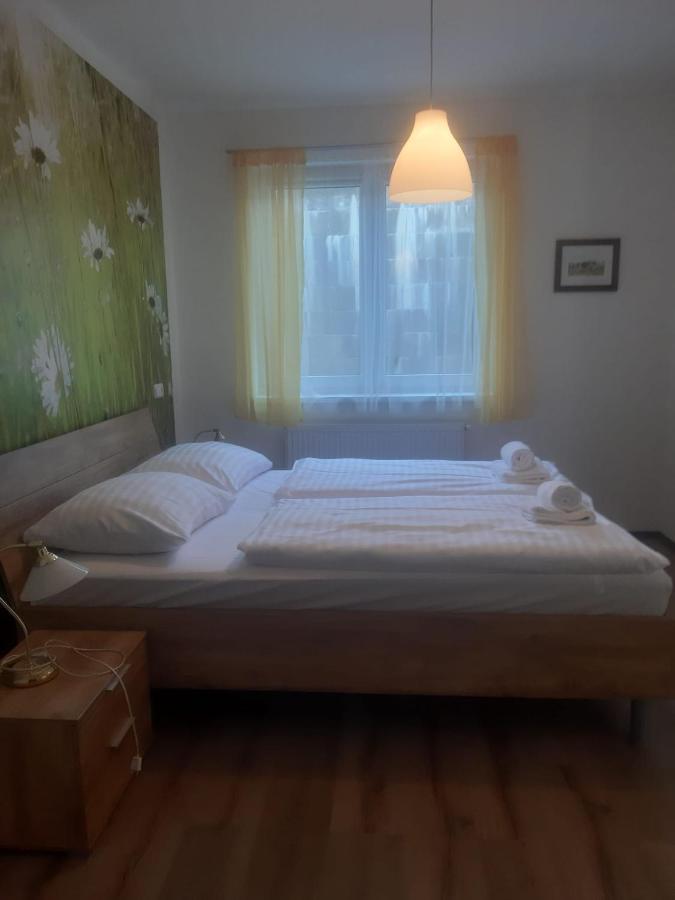 Rodinny Apartman Lucie V Blizkosti Wellness Hotelu Ve Frymburku Buitenkant foto